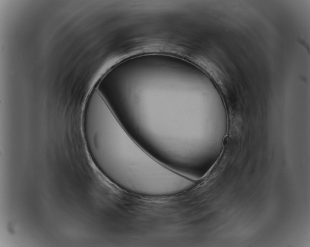 X0000093421342200710120849
