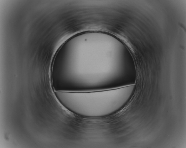 X0000093421343200710120849