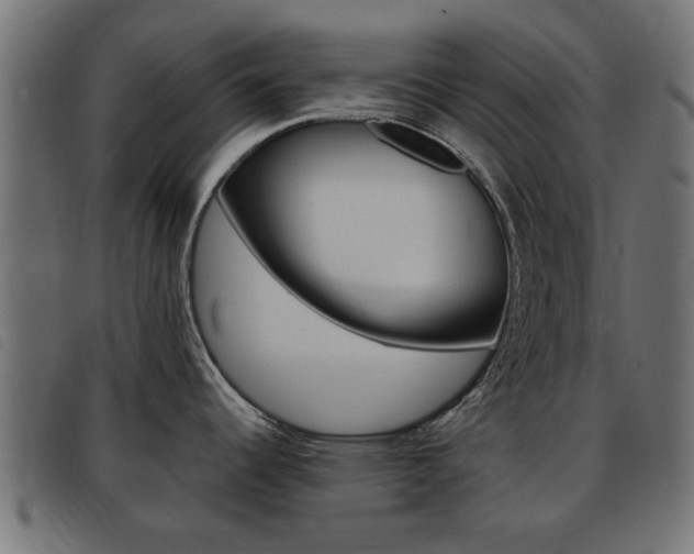 X0000093421344200710120849
