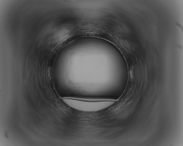 X0000093421347200710120848