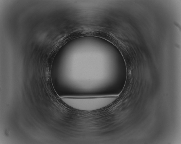 X0000093421348200710120848