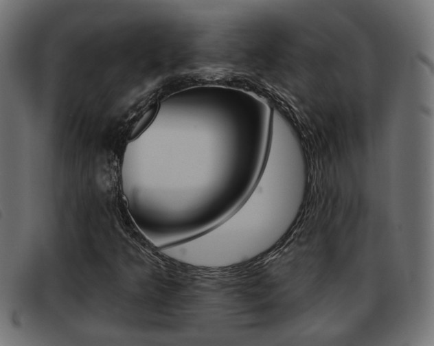 X0000093421349200710120848