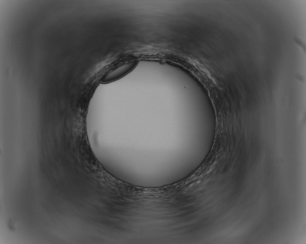 X0000093421350200710120848