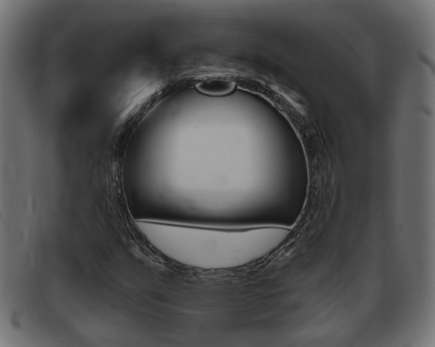X0000093421351200710120848