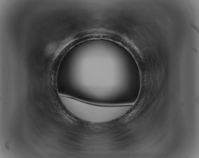 X0000093421352200710120848