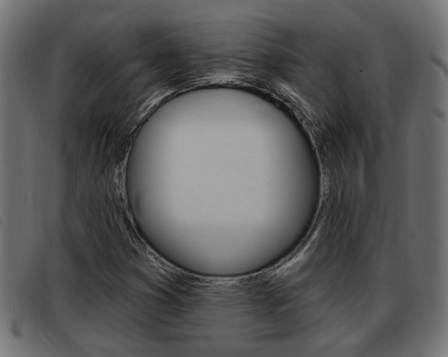 X0000093421353200710120848