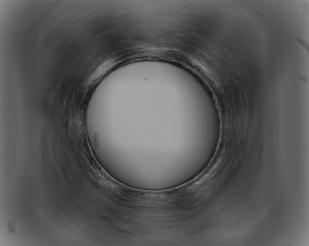 X0000093421354200710120848