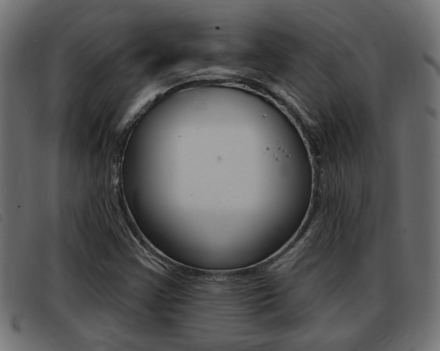 X0000093421355200710120848