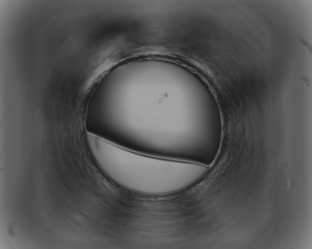 X0000093421359200710120848