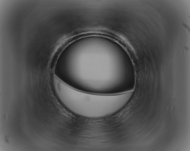 X0000093421360200710120848