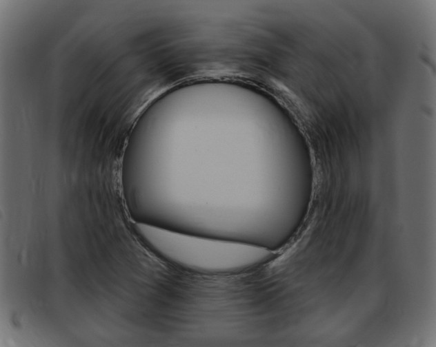X0000093421361200710120848