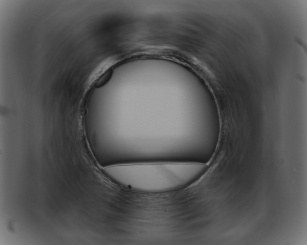 X0000093421362200710120848