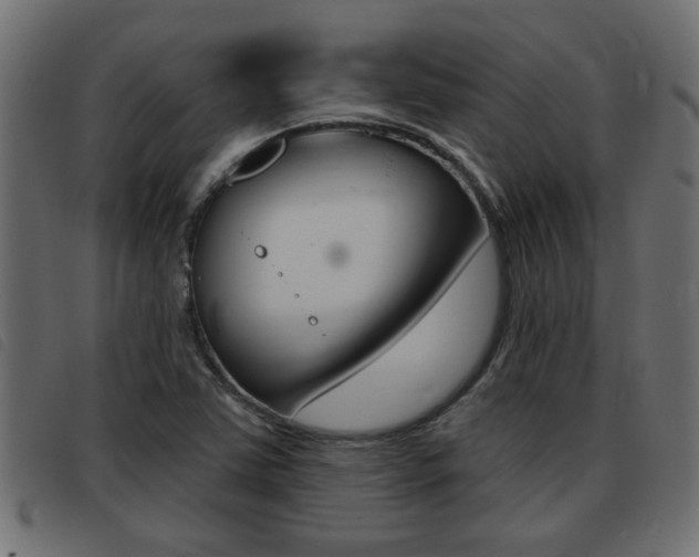X0000093421363200710120848