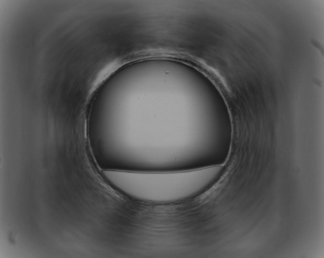 X0000093421365200710120848