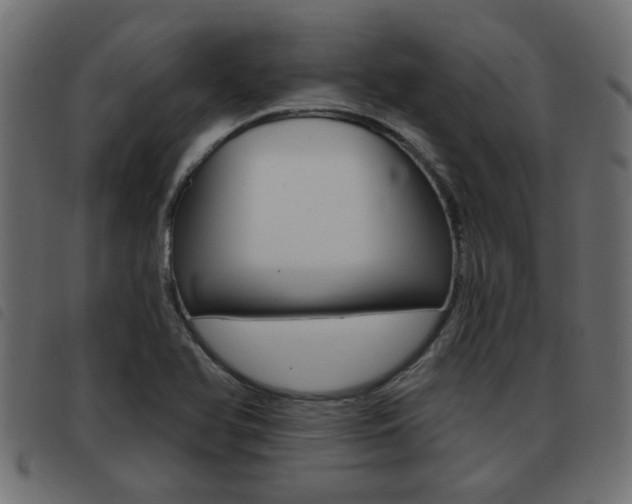 X0000093421366200710120848