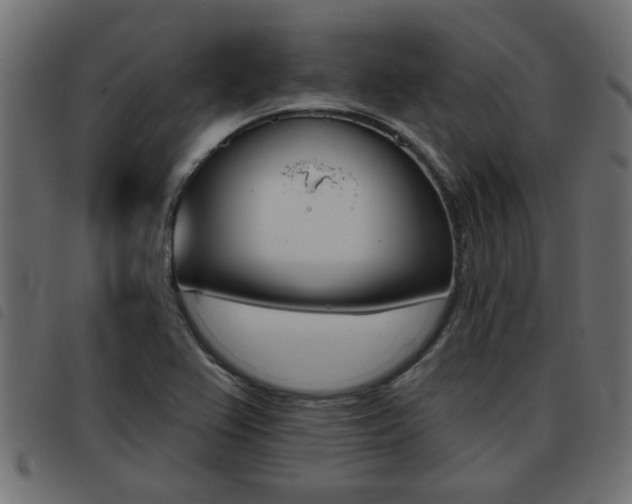 X0000093421367200710120848