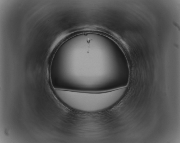 X0000093421368200710120848
