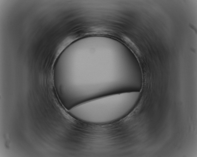 X0000093421370200710120848
