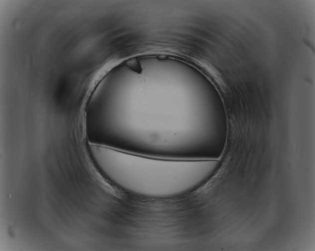 X0000093421371200710120848