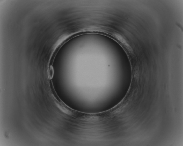 X0000093421372200710120848