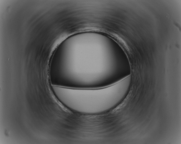 X0000093421373200710120848
