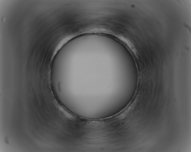 X0000093421374200710120848