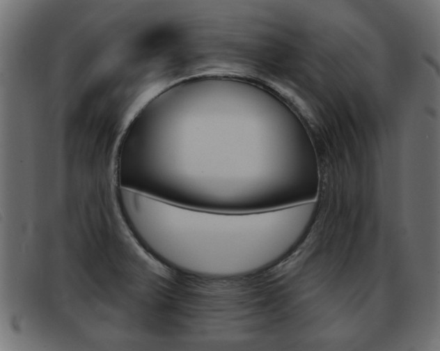 X0000093421375200710120848