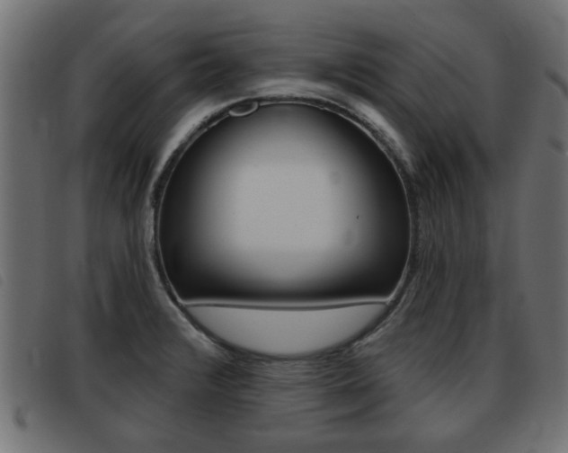 X0000093421376200710120848