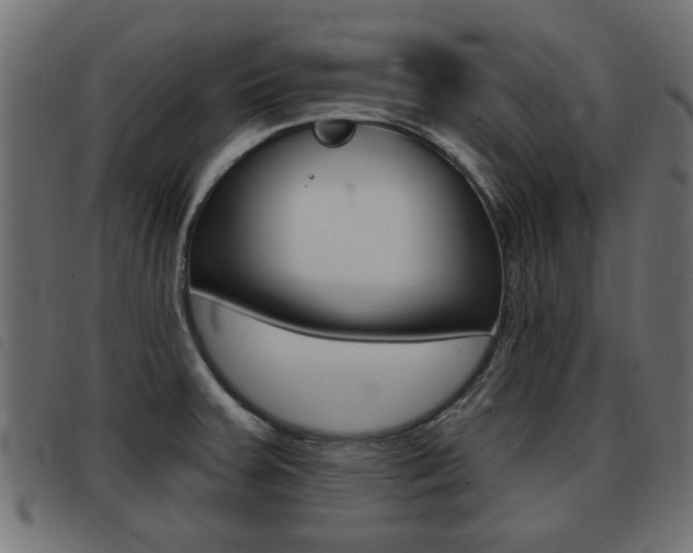 X0000093421379200710120847