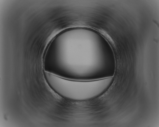 X0000093421380200710120847
