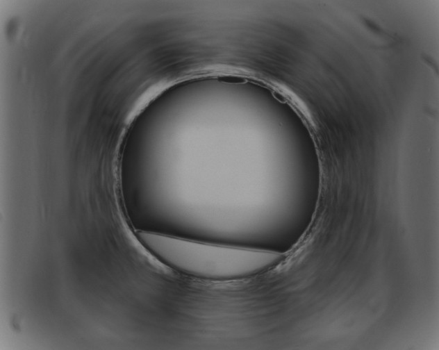 X0000093421381200710120847
