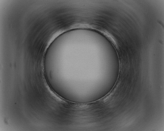 X0000093421382200710120847