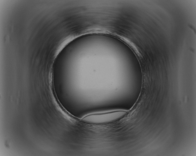X0000093421383200710120847