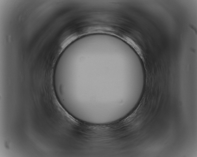 X0000093421384200710120847