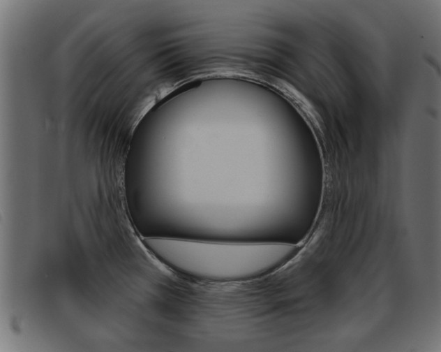 X0000093421385200710120847