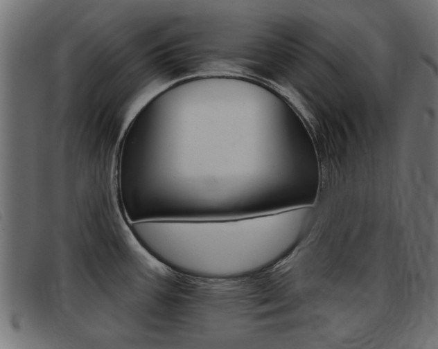 X0000093421387200710120847
