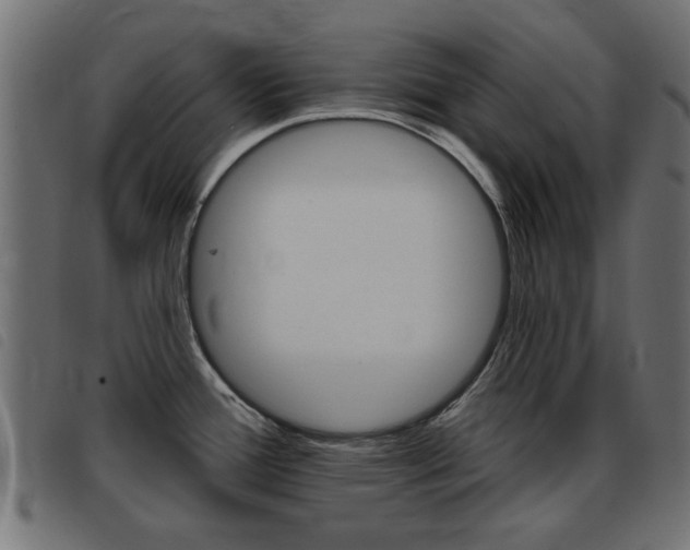 X0000093421388200710120847