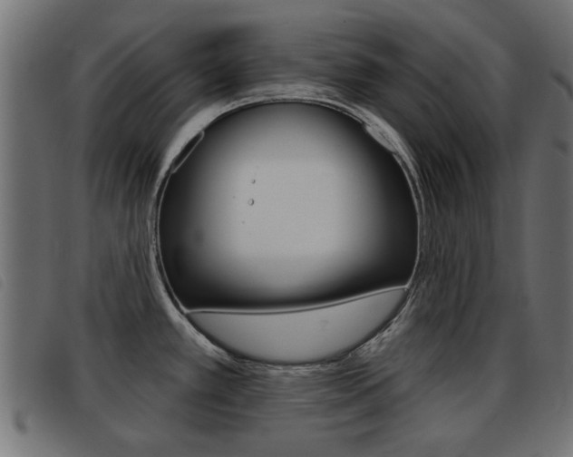 X0000093421389200710120847