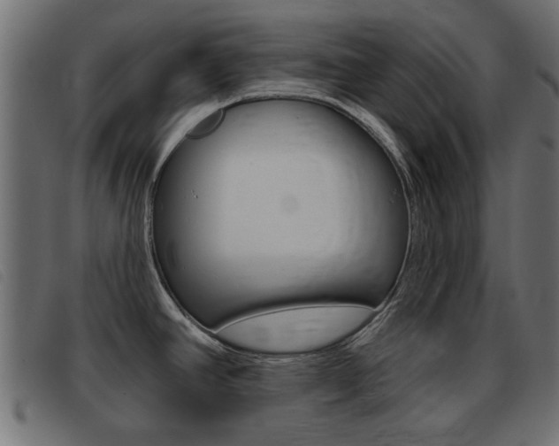 X0000093421390200710120847