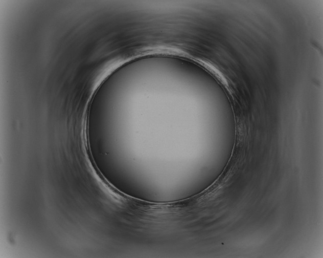 X0000093421391200710120847
