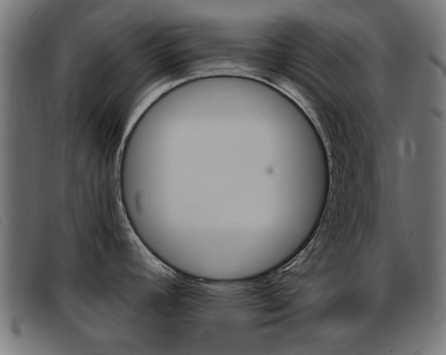 X0000093421392200710120847