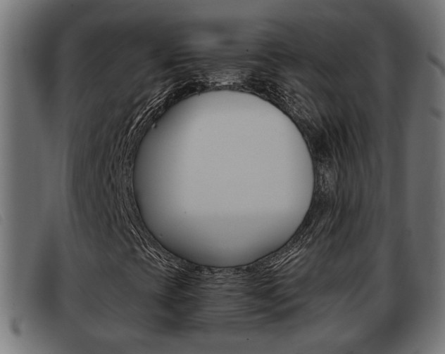 X0000093421393200710120847