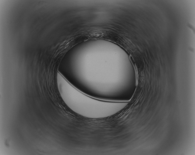 X0000093421394200710120847