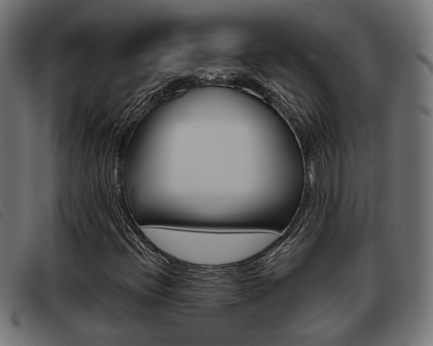 X0000093421396200710120847