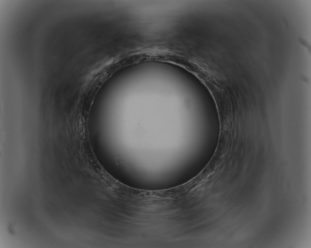 X0000093421398200710120847