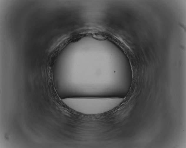 X0000093421399200710120847