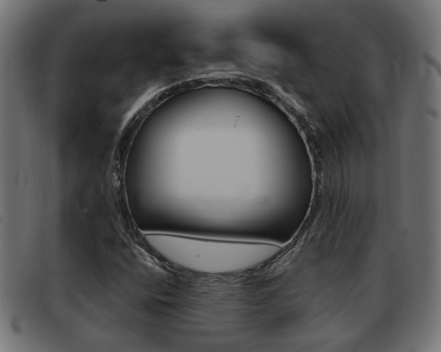 X0000093421400200710120847
