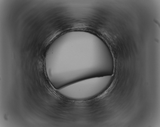 X0000093421401200710120847