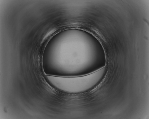 X0000093421402200710120847