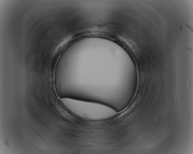 X0000093421403200710120847